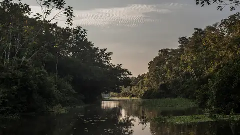 Reserva Nacional Pacaya Samiria Reserva Nacional Pacaya Samiria