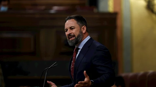 El líder de Vox, Santiago Abascal El líder de Vox, Santiago Abascal