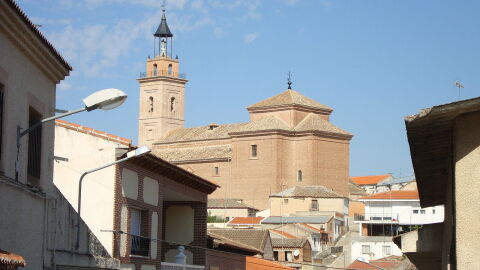 Cebolla