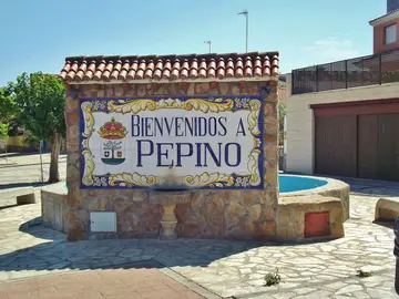 Pepino. Castilla la Mancha Pepino. Castilla la Mancha