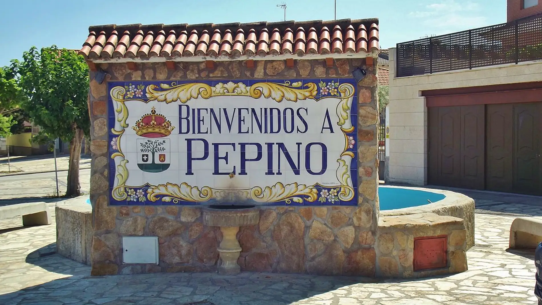 Pepino. Castilla la Mancha