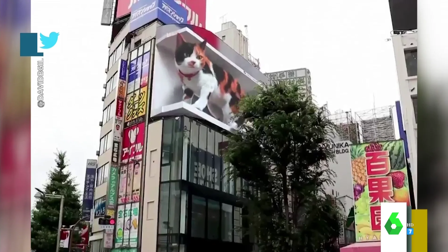 El impactante gato en 3D que aterroriza a los turistas en Tokio