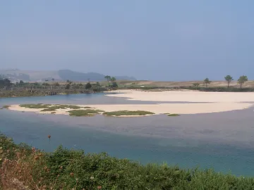 La Rabia La Rabia