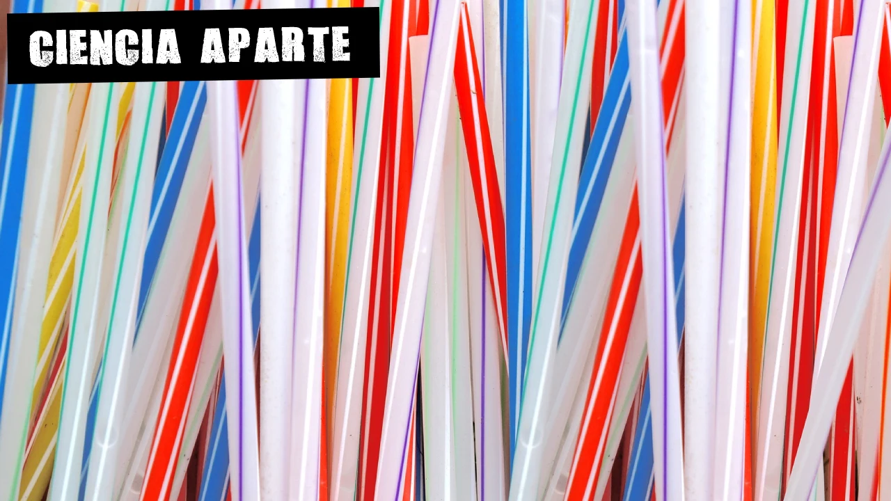 Pajitas de colores