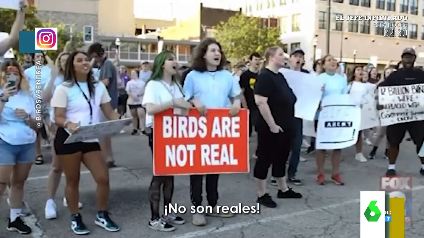 La surrealista manifestación de negacionistas de pájaros: creen que en realidad son drones controlados por el Gobierno La surrealista manifestación de negacionistas de pájaros: creen que en realidad son drones controlados por el Gobierno