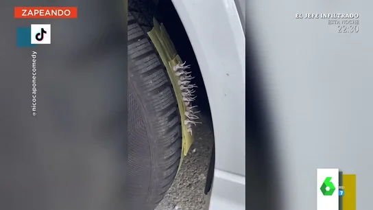 El vídeo viral de la broma de un joven a su novia: le pone petardos en la rueda y esto es lo que pasa al arrancar El vídeo viral de la broma de un joven a su novia: le pone petardos en la rueda y esto es lo que pasa al arrancar