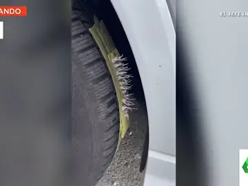 El vídeo viral de la broma de un joven a su novia: le pone petardos en la rueda y esto es lo que pasa al arrancar