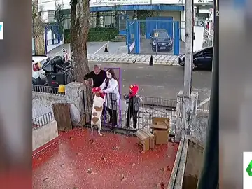 El vídeo viral en el que un hombre roba una camiseta a un perro y una familia le regala otra