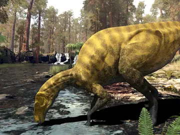 Descubren un dinosaurio desconocido en Castellón Descubren un dinosaurio desconocido en Castellón