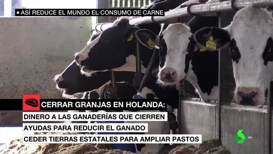 europa consumo carne europa consumo carne