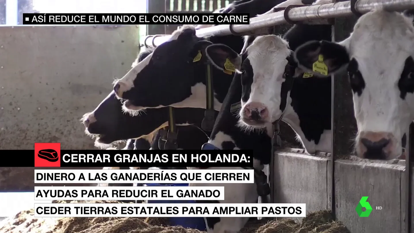 europa consumo carne europa consumo carne