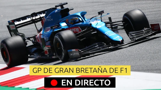 Fernando Alonso en el GP de Silverstone Fernando Alonso en el GP de Silverstone