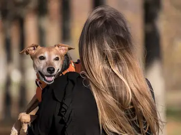 Imagen de archivo de una joven junto a un perro.