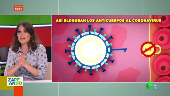 boticaria 1 boticaria 1