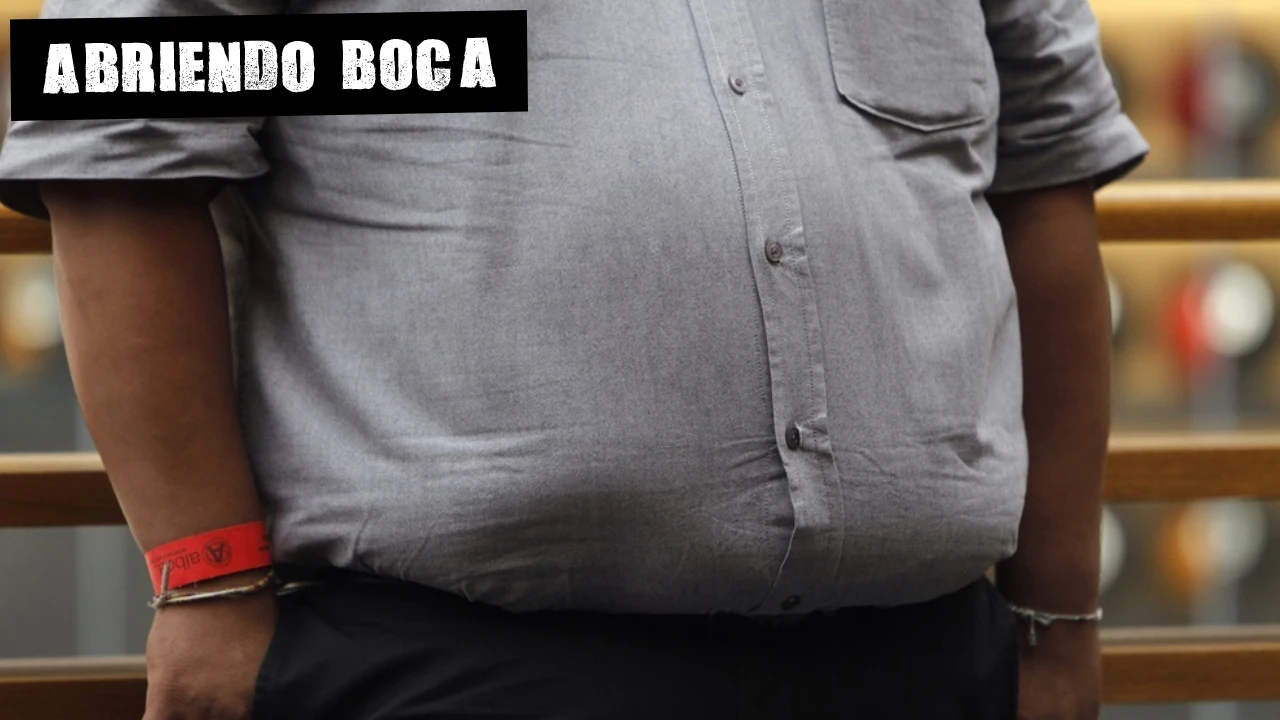 Imagen de archivo de una persona con obesidad Imagen de archivo de una persona con obesidad