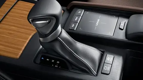 Lexus ES 300h Lexus ES 300h 2021