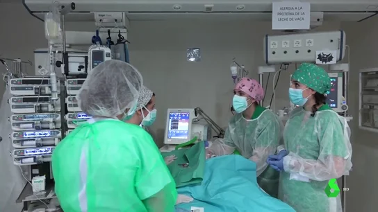 terapia bebes trasplantados terapia bebes trasplantados