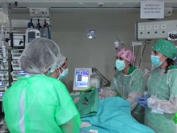terapia bebes trasplantados