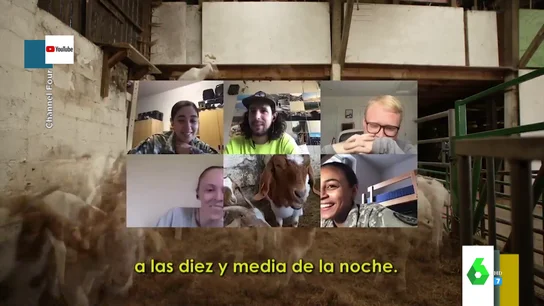 negocios negocios