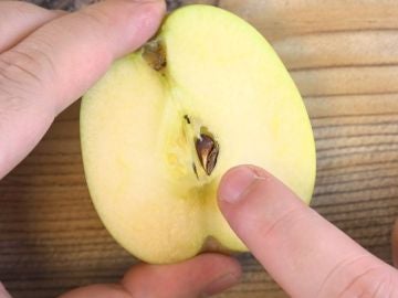 Semilla de manzana