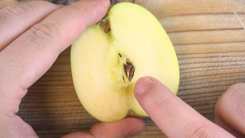 ¿Por qué las pepitas de la manzana son tóxicas para el ser humano?