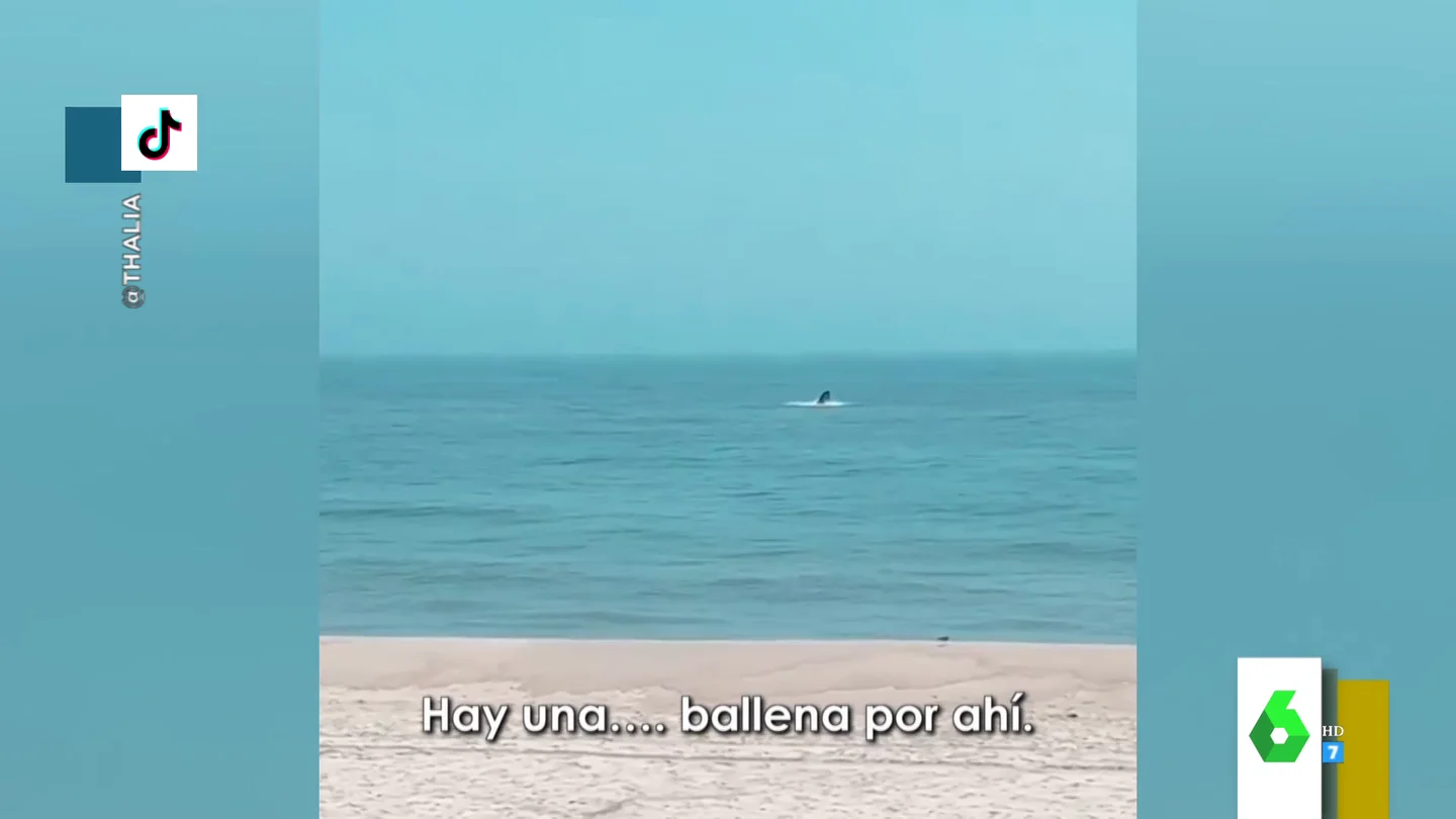 El espectacular vídeo en el que Thalia muestra el coletazo de una ballena en plena playa El espectacular vídeo en el que Thalia muestra el coletazo de una ballena en plena playa