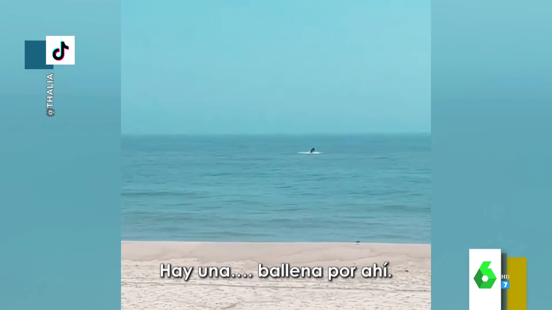 El espectacular vídeo en el que Thalia muestra el coletazo de una ballena en plena playa