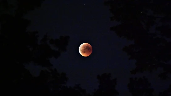 Luna llena de julio: cómo y cuándo ver la Luna llena Noches de verano