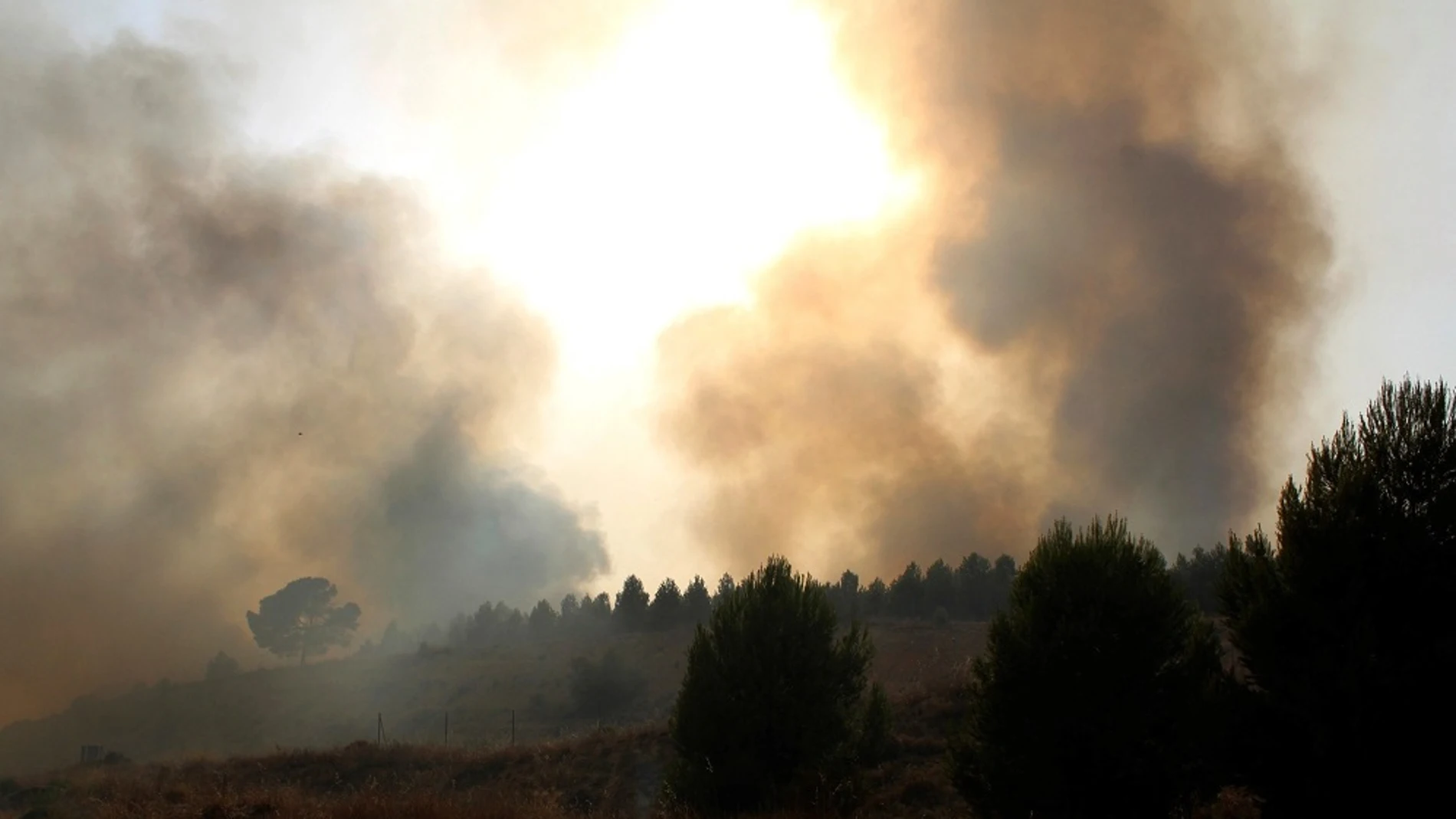 Imagen de las llamas provocadas por el incendio que se ha producido en la localidad albaceteña de Hellín