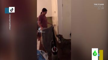La caída viral de una tiktoker en pleno reto de la toalla con su perro 