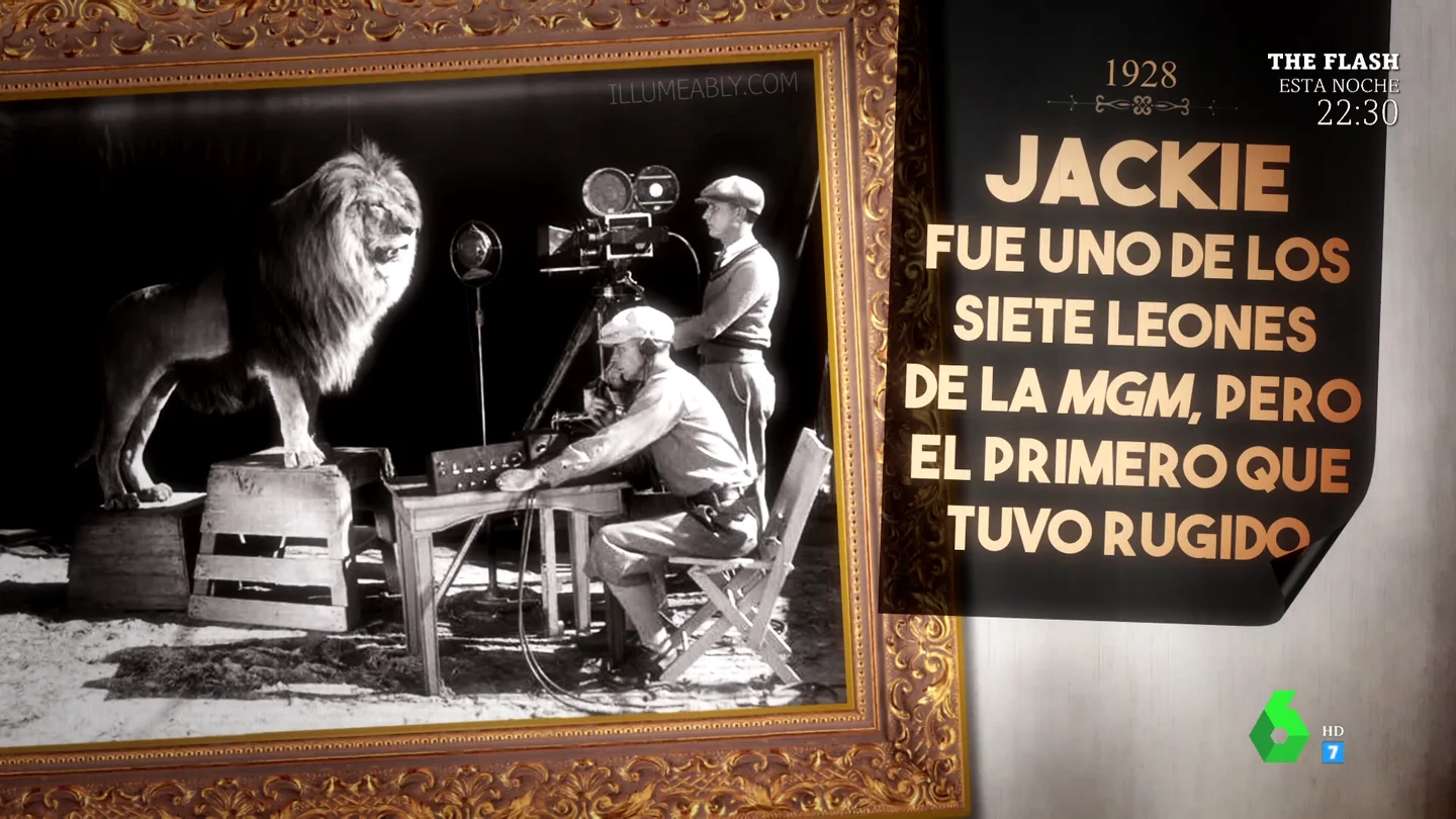 Sí, el león que ruge al incio de las películas de MGM existió: así se grabó el impactante momento Sí, el león que ruge al incio de las películas de MGM existió: así se grabó el impactante momento