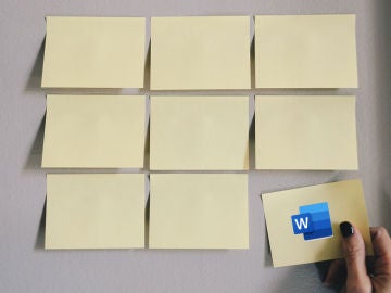 C&oacute;mo borrar el fondo de una imagen en Microsoft Word o Powerpoint