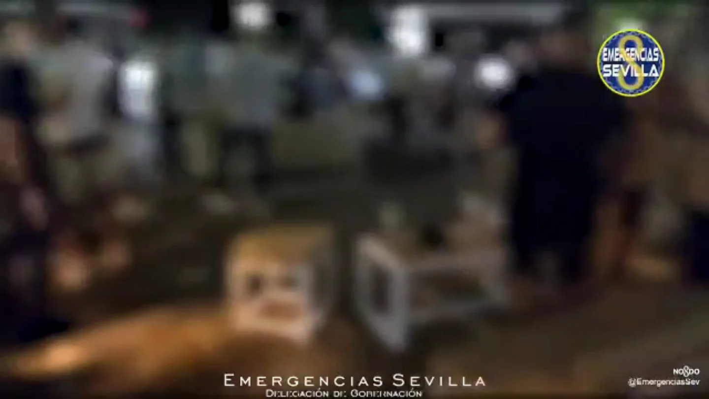 Desalojadas más de 1.000 personas en Sevilla por incumplir las medidas COVID durante el fin de semana Desalojadas más de 1.000 personas en Sevilla por incumplir las medidas COVID durante el fin de semana