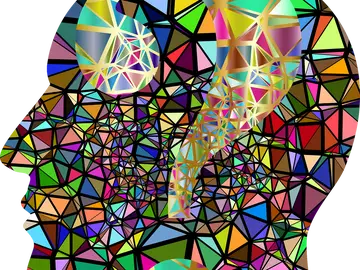 Conectar el cerebro al ordenador comienza a ser una realidad Conectar el cerebro al ordenador comienza a ser una realidad