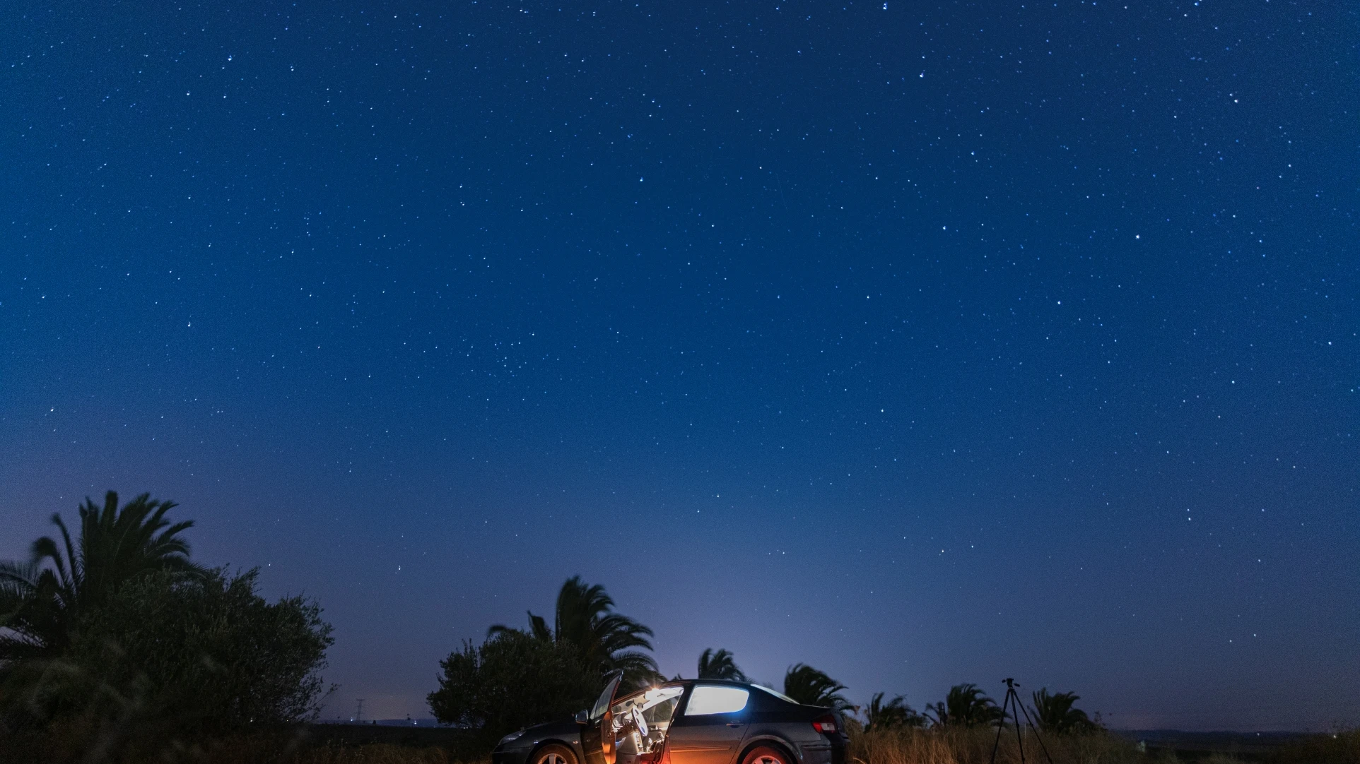 Noches de verano