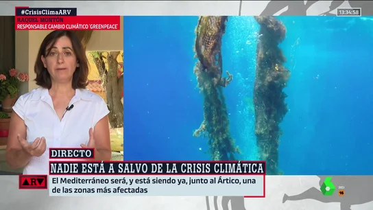 greenpeace greenpeace