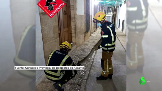 serpiente en calle serpiente en calle