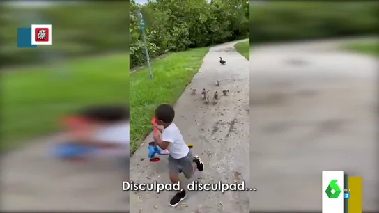 maria patos maria patos