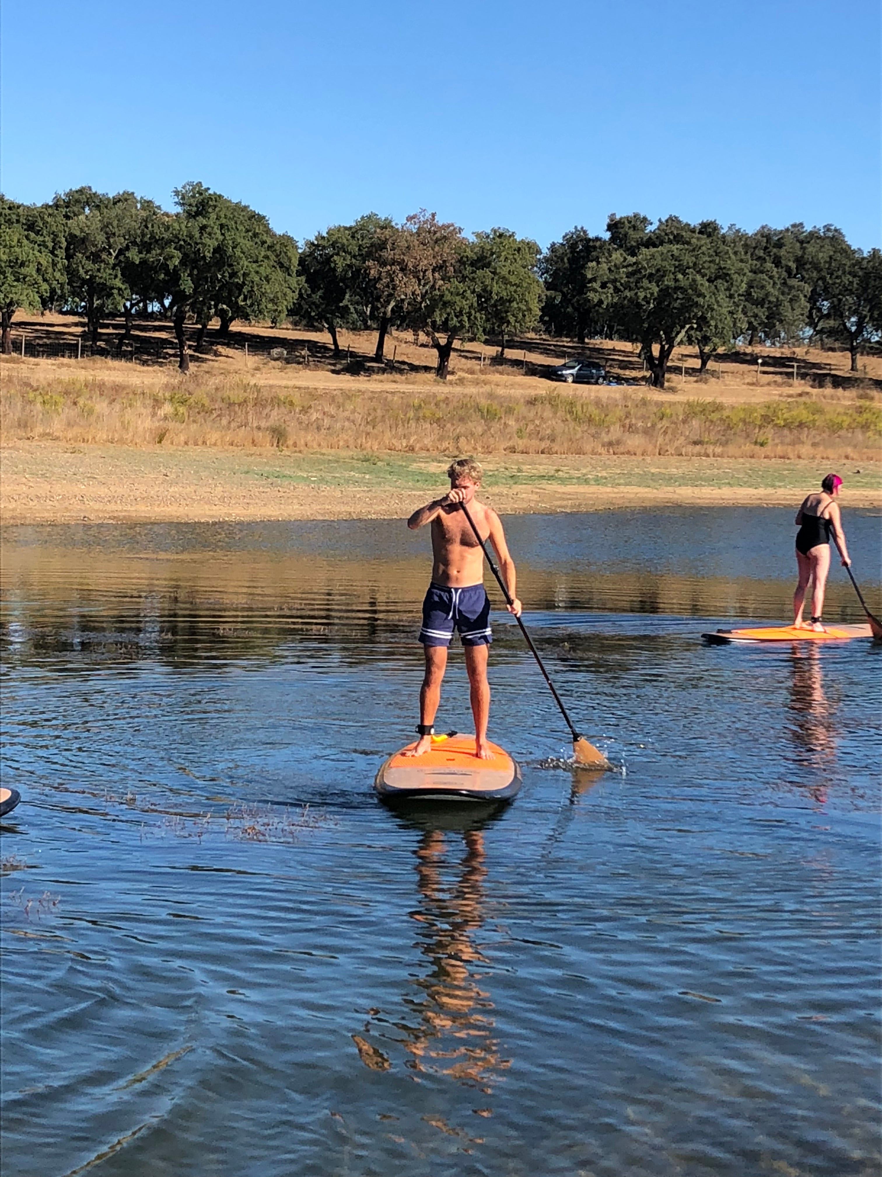 Paddle Surf Paddle Surf