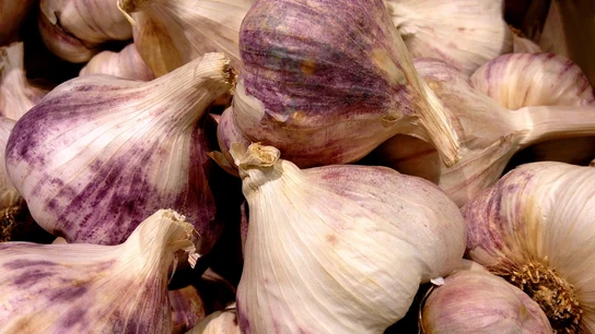 Cómo plantar los ajos para triunfar en la cocina Cómo plantar los ajos para triunfar en la cocina