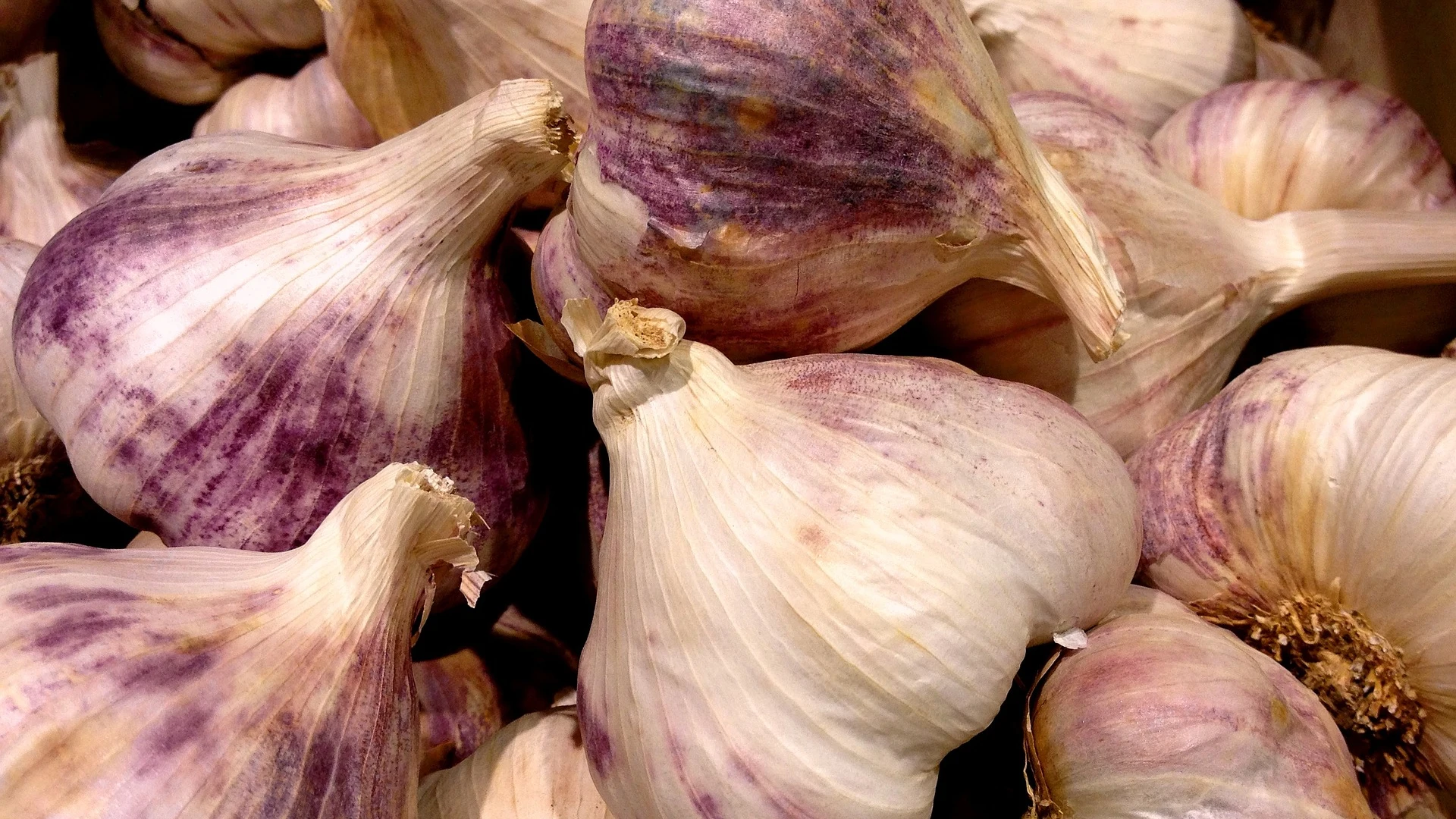 Cómo plantar los ajos para triunfar en la cocina