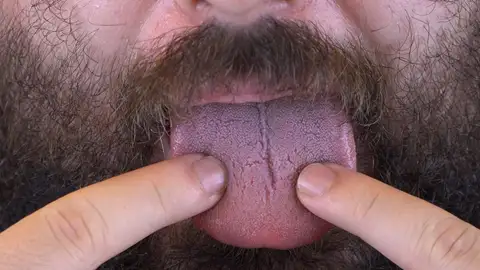 Lengua Lengua