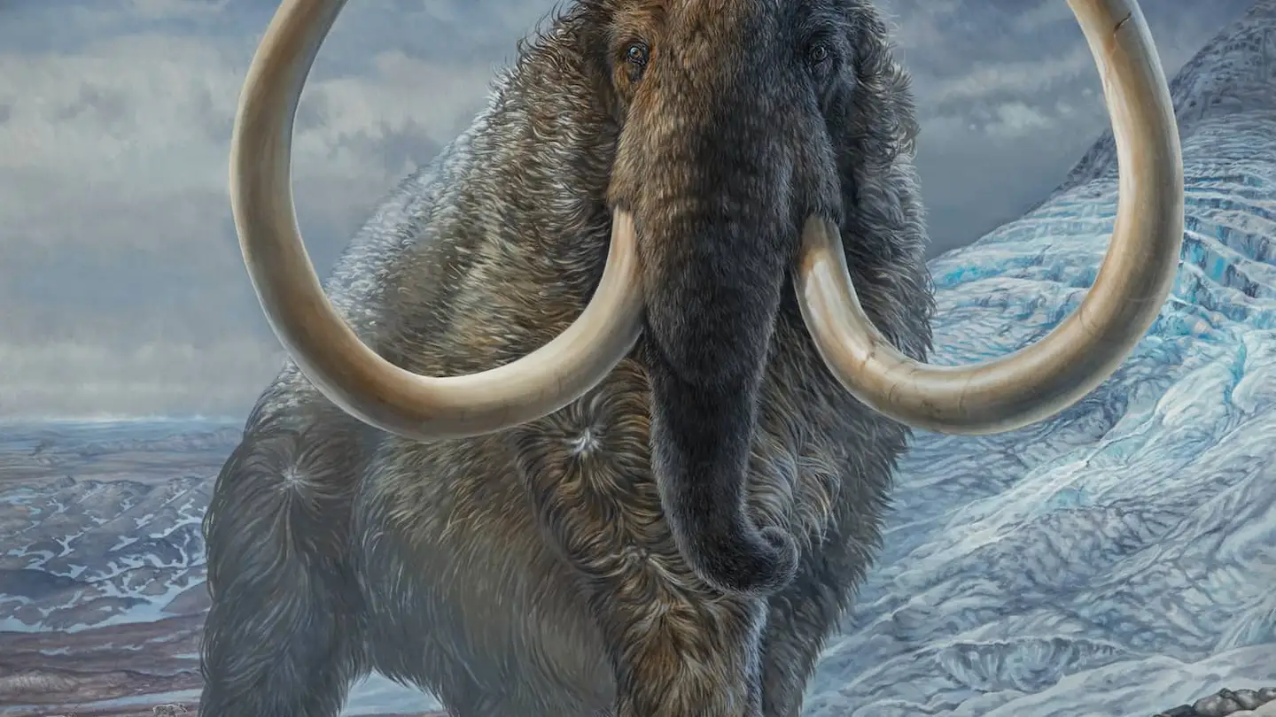Ilustración de un mamut lanudo adulto Ilustración de un mamut lanudo adulto