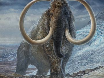 Ilustración de un mamut lanudo adulto