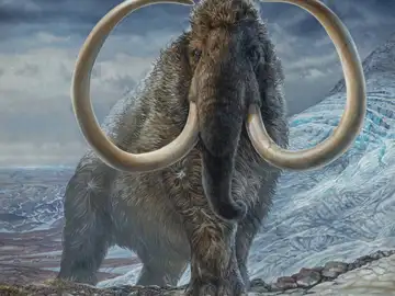 Ilustración de un mamut lanudo adulto Ilustración de un mamut lanudo adulto