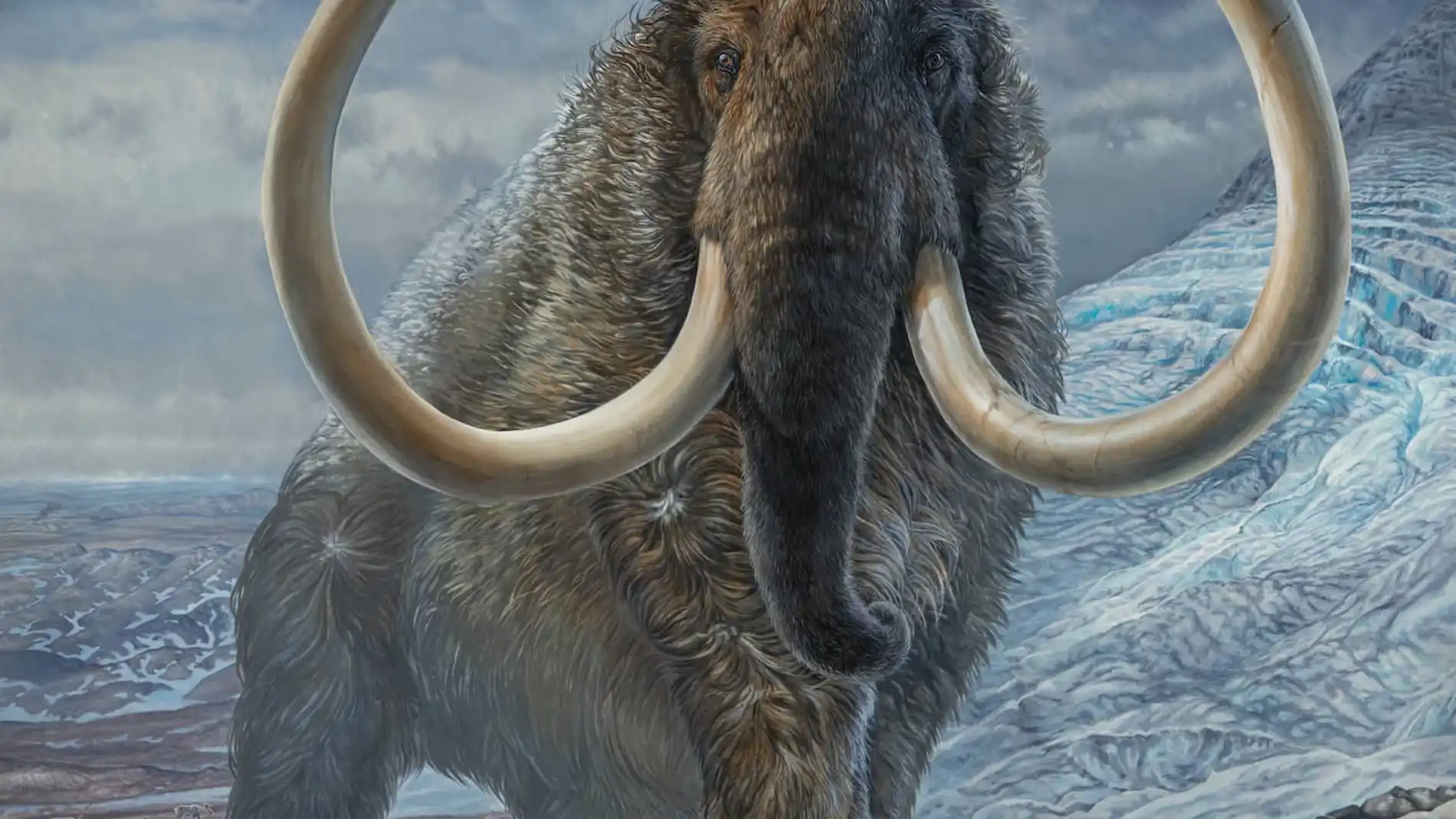 Ilustración de un mamut lanudo adulto