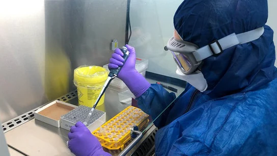 Investigadora de la empresa catalana Hipra Investigadora de la empresa catalana Hipra