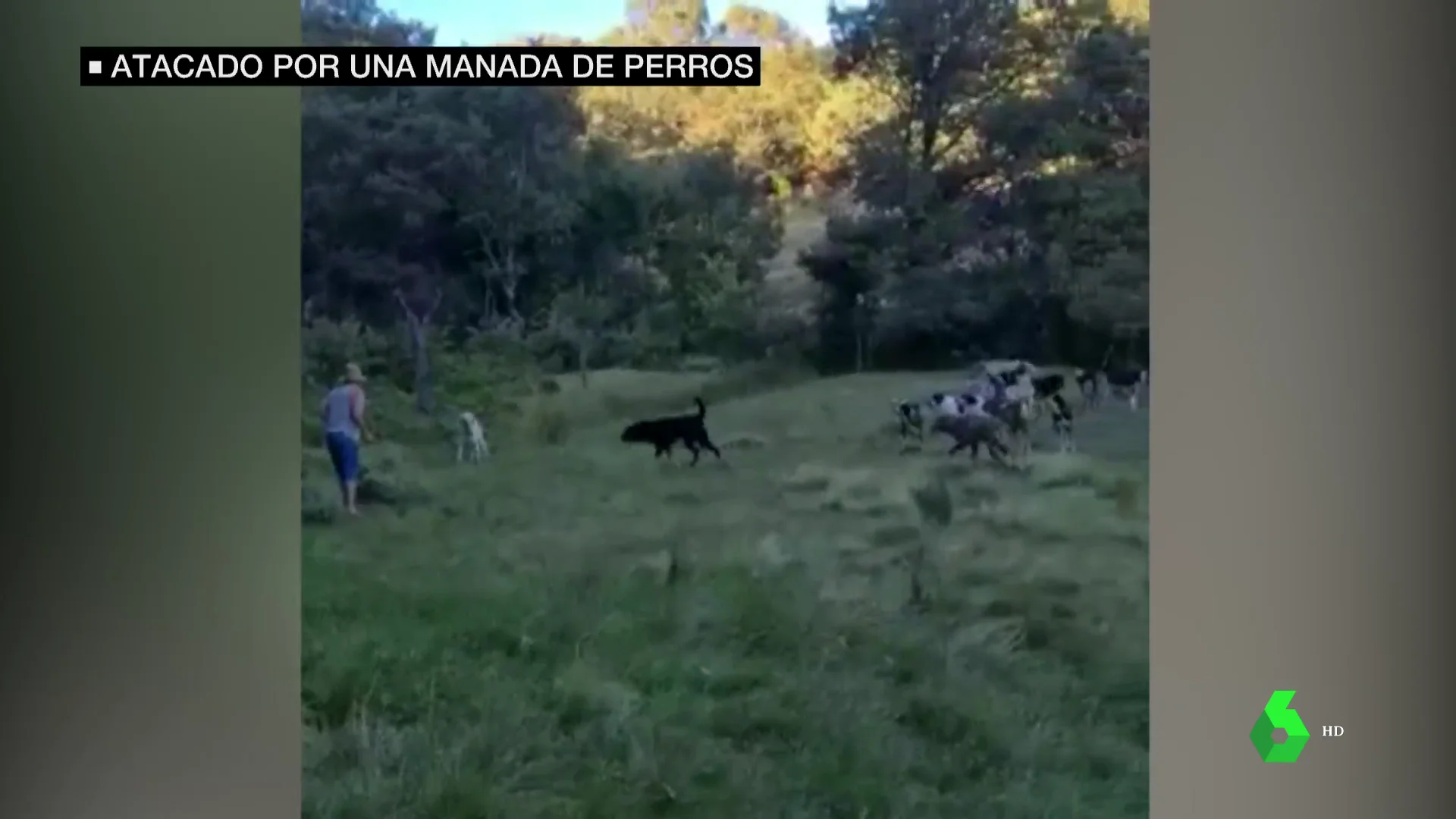 amenazado por 20 perros