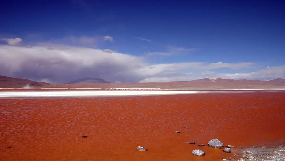 Laguna Colorada. Bolivia