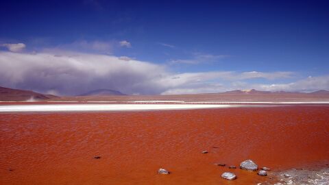 Laguna Colorada. Bolivia